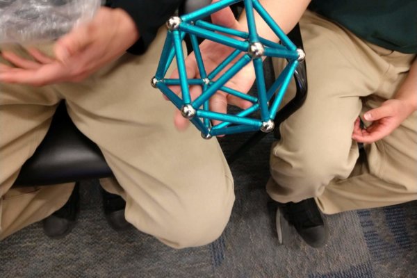 Students at a Youth-In-Custody facility interacted with a virologist and learned how to construct 3D models of real viruses!