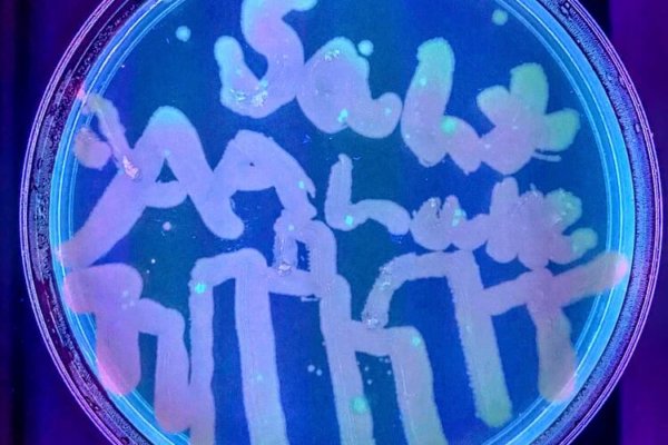 Students at a Youth-In-Custody learned about the role of bacteria (positive and negatvie) and the process of plating it into agar plates. They also learned about artwork created by smearing bacteria on agar plates, and then had the opportunity to make their own.