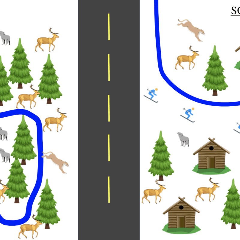 A slide from Austin Green's Conservation Biology presentation, illustrating the impact that roads have on natural environments.